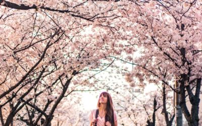 Ya es primavera en Sarriguren
