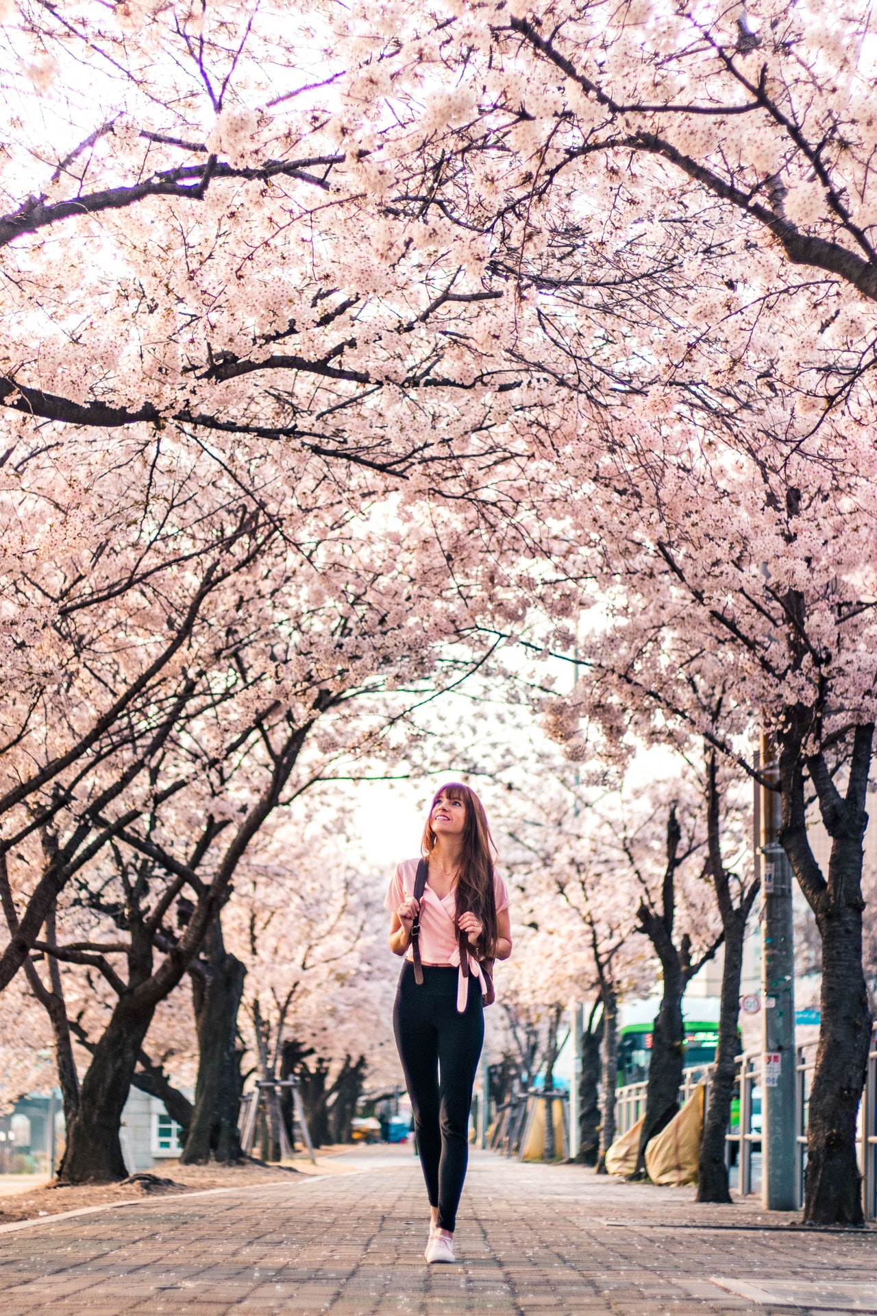 woman-in-black-jacket-standing-under-white-cherry-blossom-4098908
