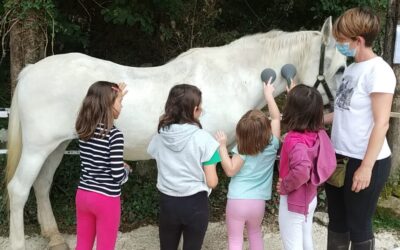 ACTIVIDADES CON CABALLOS / ZALDIEKIN EKINTZAK