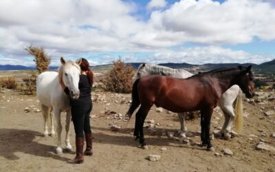 EXPERIENCIAS CON CABALLOS/ZALDIEKIN ESPERIENTZIAK