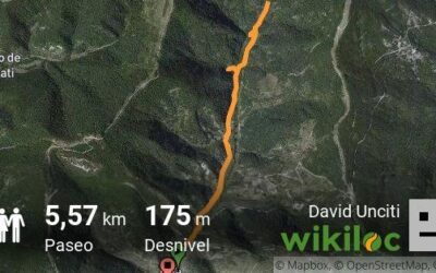 RUTA N°6/6°IBILBIDEA
