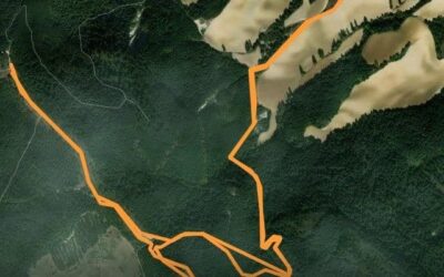RUTA N°12/12°IBILBIDEA