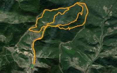RUTA N°20/20°IBILBIDEA